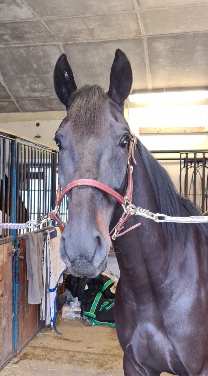 StallTinter tweet picture