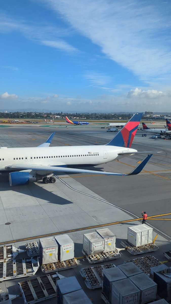 Grapefruit League, I'm comin' for ya! 🌴🍊⚾