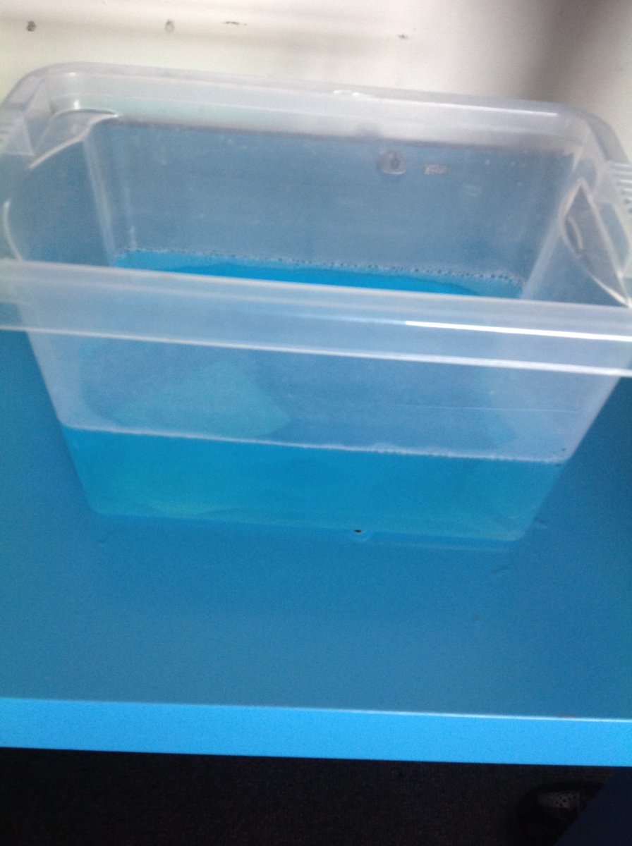 For Science Day Crickets have investigated - How long does it take bubbles to disappear? We predicted how long we thought it would take according to different times in our school day. There were still some bubbles at home time! #ScienceWeek #gbs4science <a href="/GilesBrookSCH/">Giles Brook School</a>