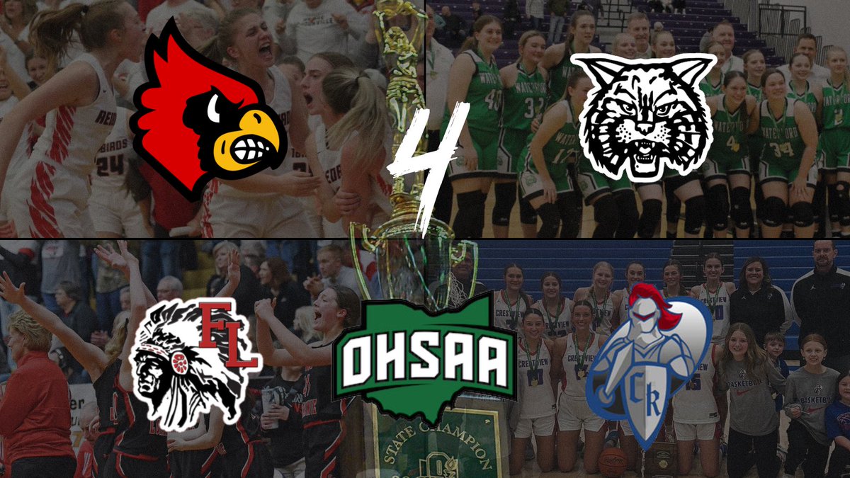 She Hoops Basketball tweet media