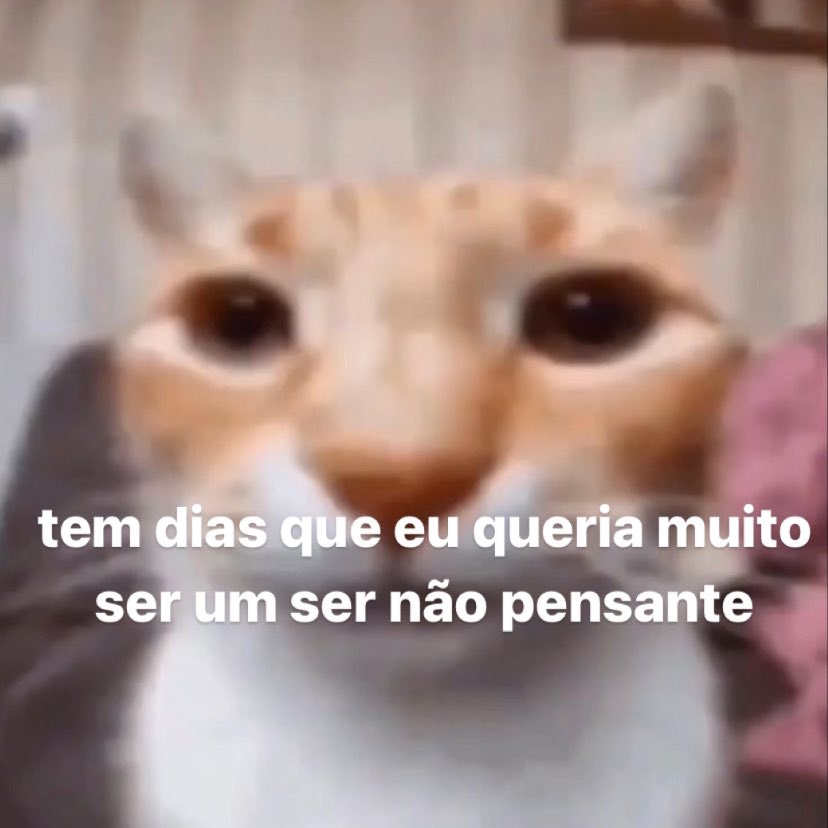 Itspedrito's tweet photo. muitos dias https://t.co/kB85QyygNv