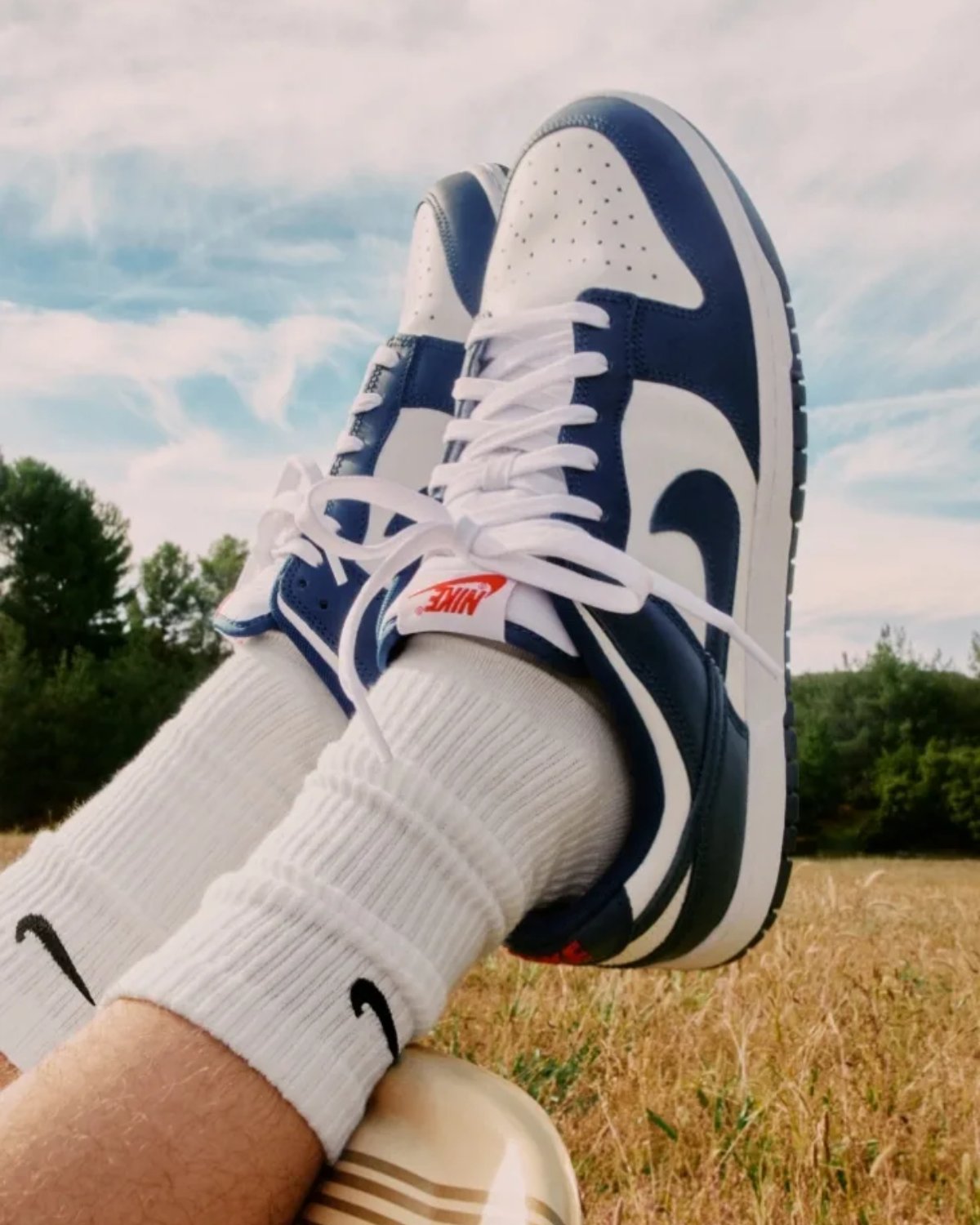 NIKE DUNK LOW バレリアンブルー　27.5 NIKE DUNK ダンク Low Valerian Blue 27.5cm