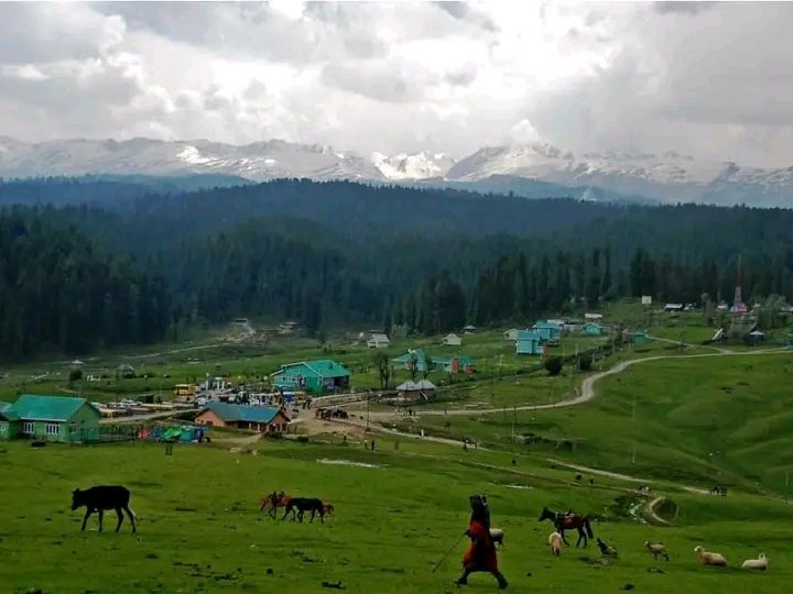 RunyalR's tweet photo. Beauty of Yousmarg kashmir
#photography https://t.co/OubcihfDzC