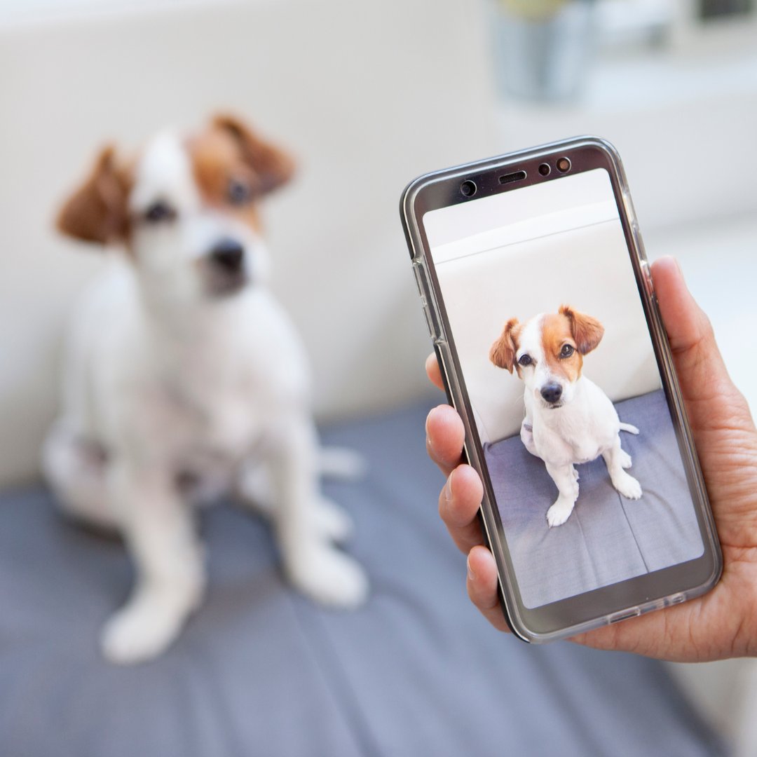 Photography adventures indoors! Even within your home, there's a world to capture. Photography can be a great tool for mindfulness, helping to distract from pain and elevate mood. What items in your home could you photograph today? #CaptureMoments #MindfulPhotography