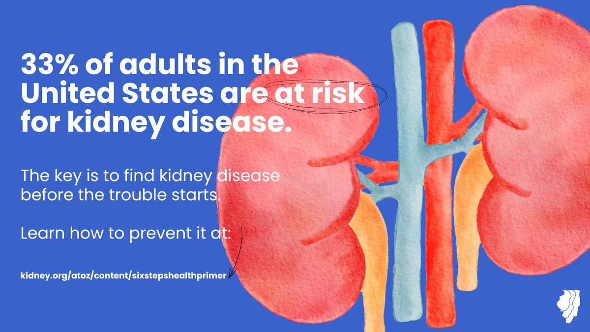 1 in 3 people in the U.S. are at risk for kidney disease. Kidney disease often goes undetected until it is very advanced, which is why regular testing is so important. 📅 🔗 Learn more about prevention at kidney.org/atoz/content/s…
