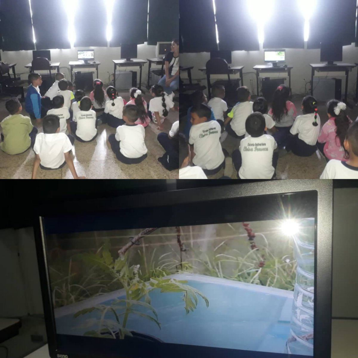 CbitEloisaF's tweet photo. Video Educativo sobre riego por goteo casero @Fundabit_ @FundabitTrujil1 @MPPEDUCACION @cdcetrujillo @Eloisa_F2019 #SomosFundabit https://t.co/NZMFapBbWK