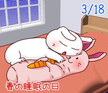 daifuku_usakoh's tweet photo. 春は寝るだけでお得✨In spring, just sleeping can be effective.#今日は何の日 #3月18日 #うさぎ #今日のひとこと #点字ブロックの日 #春の睡眠の日 #braille #SpringSleep #ひまうさぎ https://t.co/LgtwerJuPY
