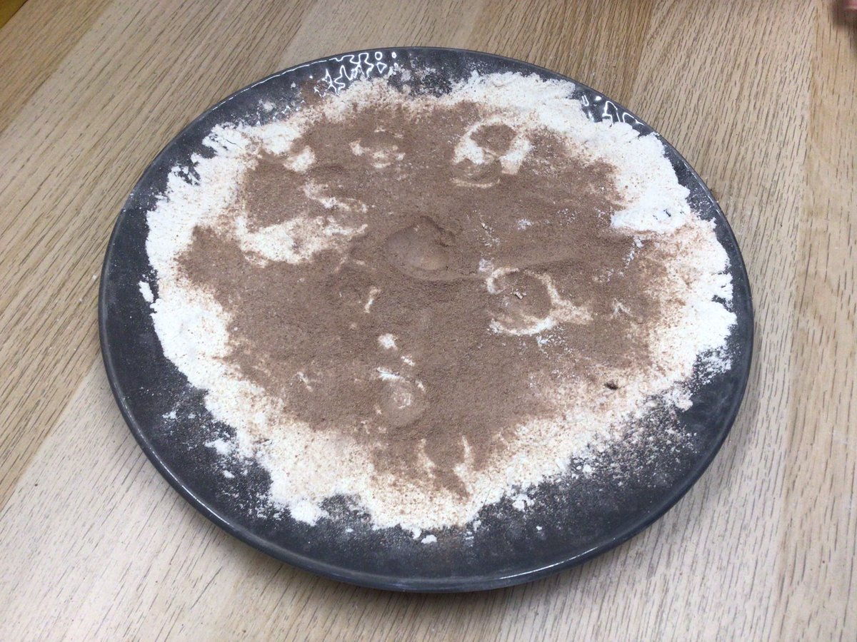 bspsofficial's tweet photo. Year 5 did an experiment to show how asteroids, meteors and comets form craters on the moon. We tested this using different sized balls to make craters in flour and coco powder! The larger and heavier the ball, the bigger the crater! @ProfCrankpot #BSW24 #bspsScience #bspsYear5☄️ https://t.co/z7XK31nsFq