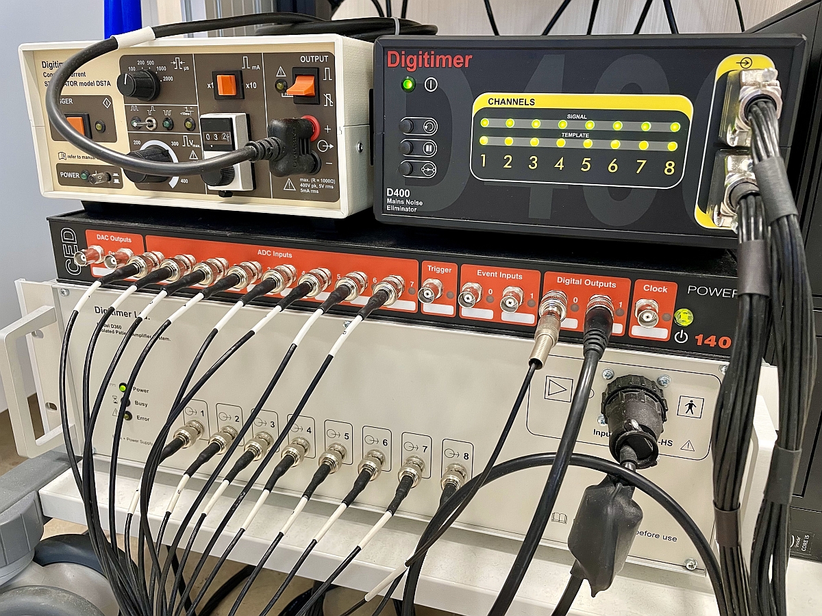 Digitimer Limited tweet media