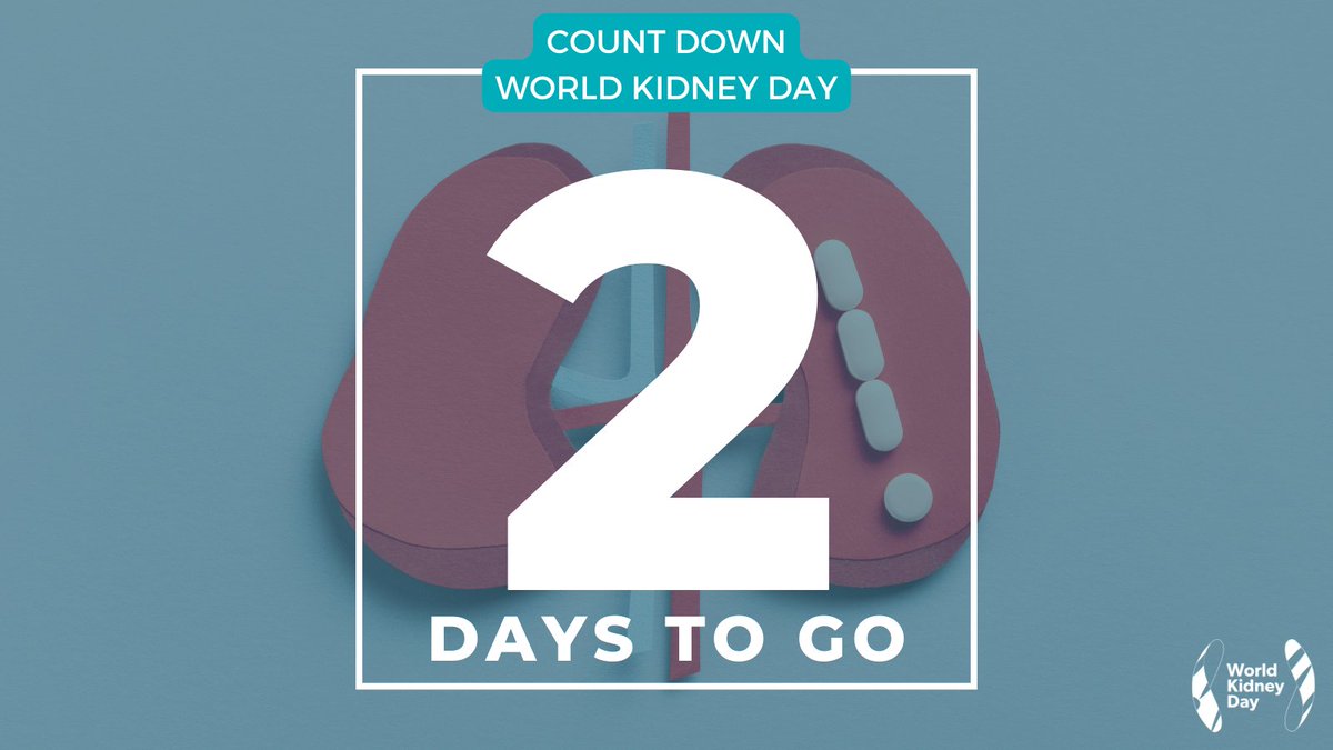 #WorldKidneyDay is in two days!! Are you ready? Are you looking for last minute inspiration? Use our 2024 Campaign image to advertise your #activity! 🔗 worldkidneyday.org/knowledge-bank… #RaiseAwareness #OnlineActivity #KidneyHealth #Celebration #Health #GlobalIssue #KidneyDisease