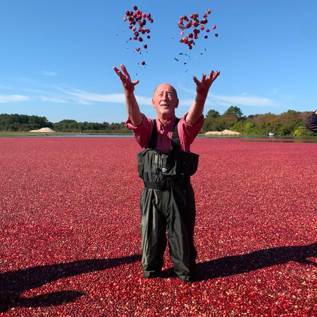 Decas Farms tweet media