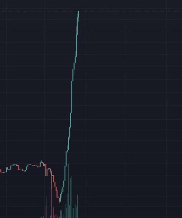 CryptoCat tweet media