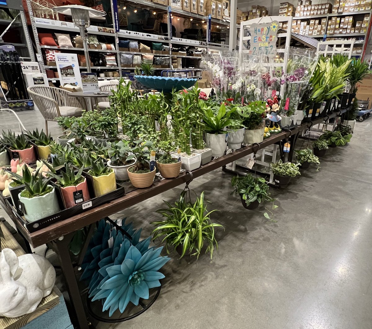 Jenilin Faust tweet media