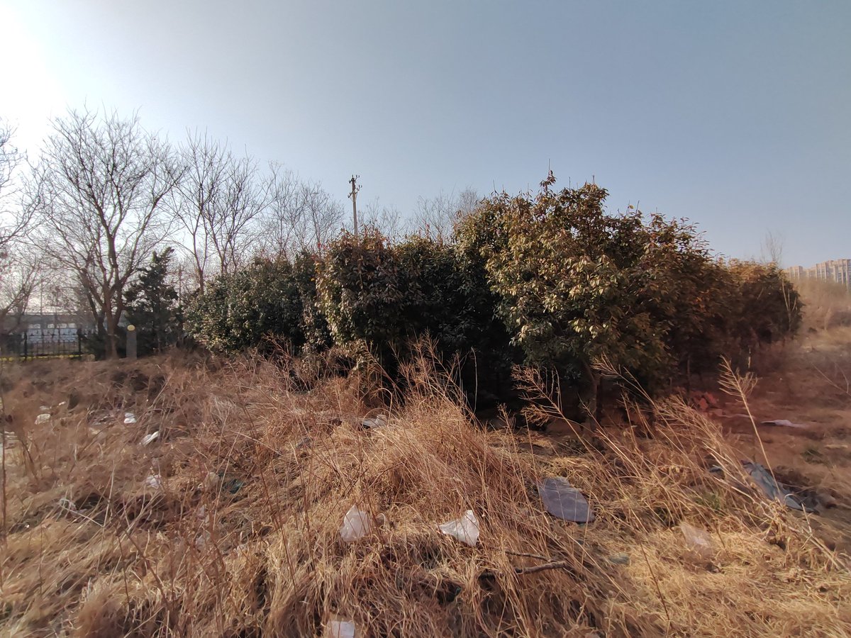 麻步甲！
他在一块巨大的石板下面被发现正在蛰伏,当我用手拿起来时手上出现一滩透明的液体。夏天的时候这个地方有很多,不过春初难抓,这是今年的第一只😁