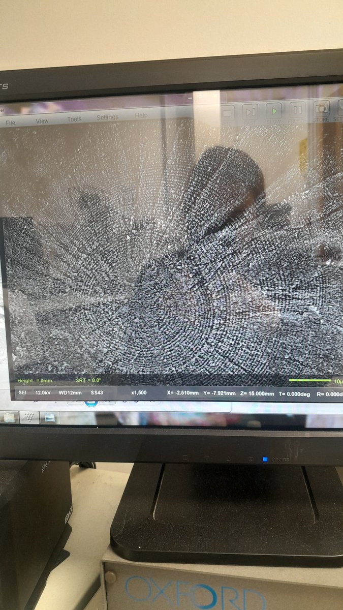 Rose Boardman tweet media