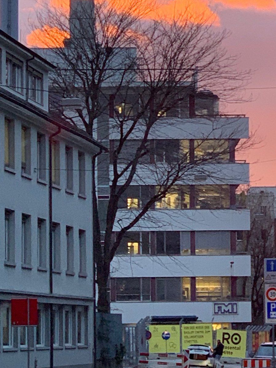LabGrosshans's tweet photo. Farewell old FMI Building - we are moving for real to the other side of the Rhine #FMIMove https://t.co/4H1qW3mWJS