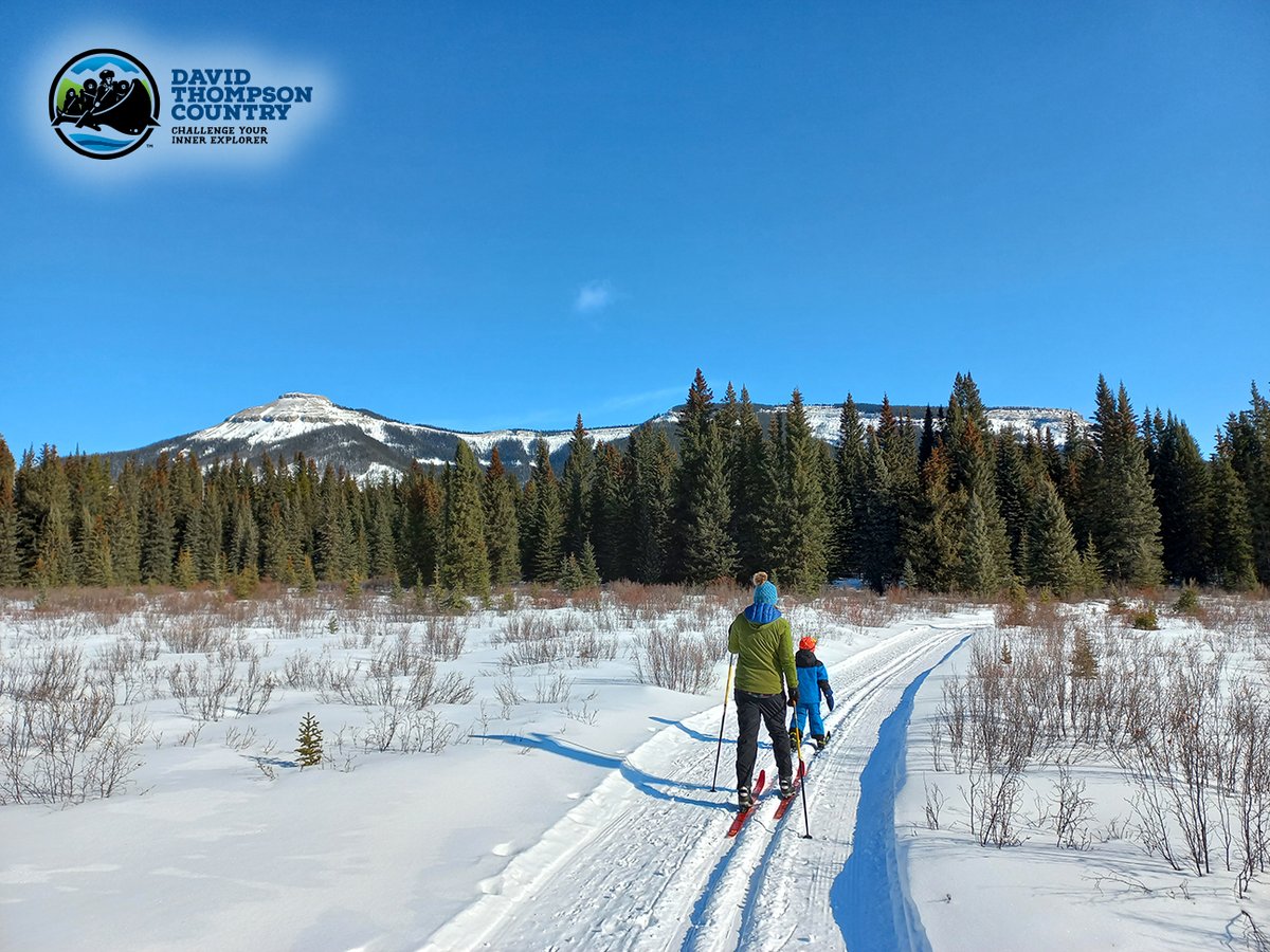 DavidThompsonCountry tweet media