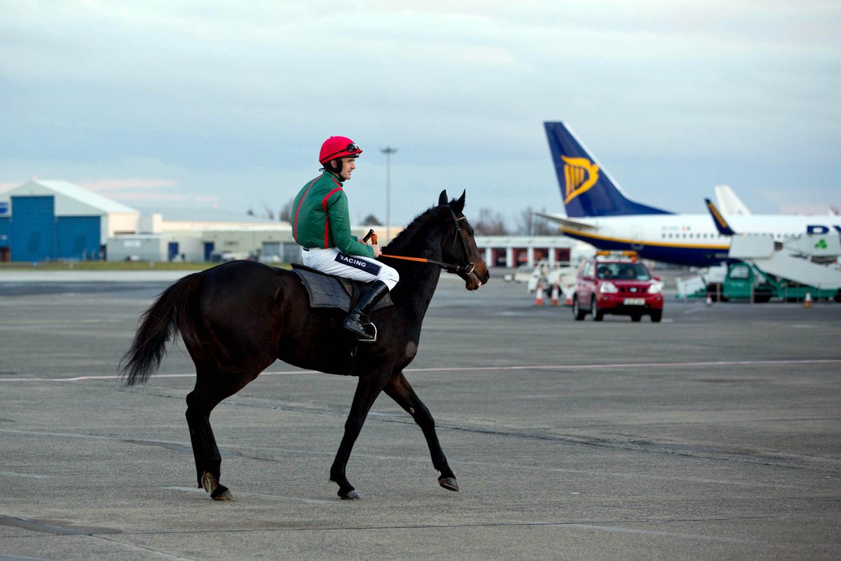 As #Cheltenham fever ramps up, we were reminded of our very own 'giddy up' moment @ShannonAirport🏇 Back in 2014, the airport welcomed two very special visitors, as legendary jockey Ruby Walsh and his horse swapped the racetrack for the runway to capture this great photograph📸