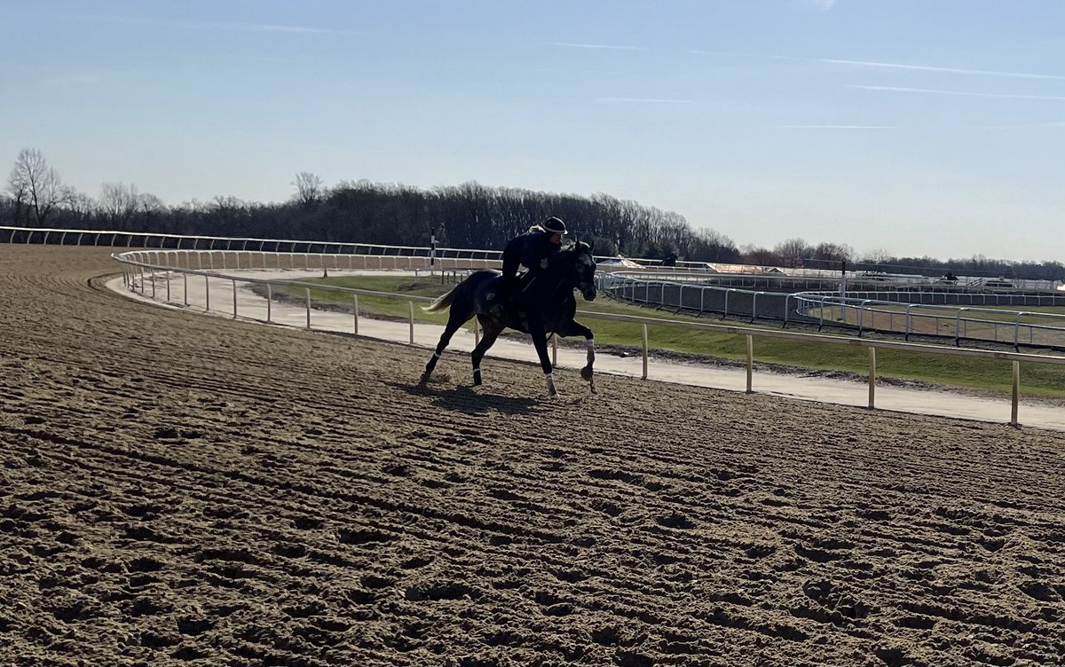 Hanging with Post Time at Fair Hill.