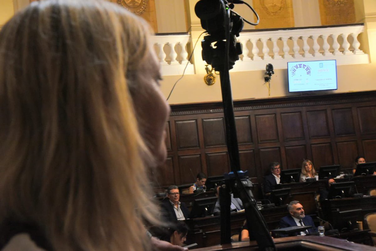 hebesil's tweet photo. La Cámara de Senadores de Mendoza dio media sanción a cinco proyectos esenciales del Plan de Salud Provincial 2024-2030. Un paso adelante para la salud de nuestra provincia. https://t.co/ZEQiTlKI21