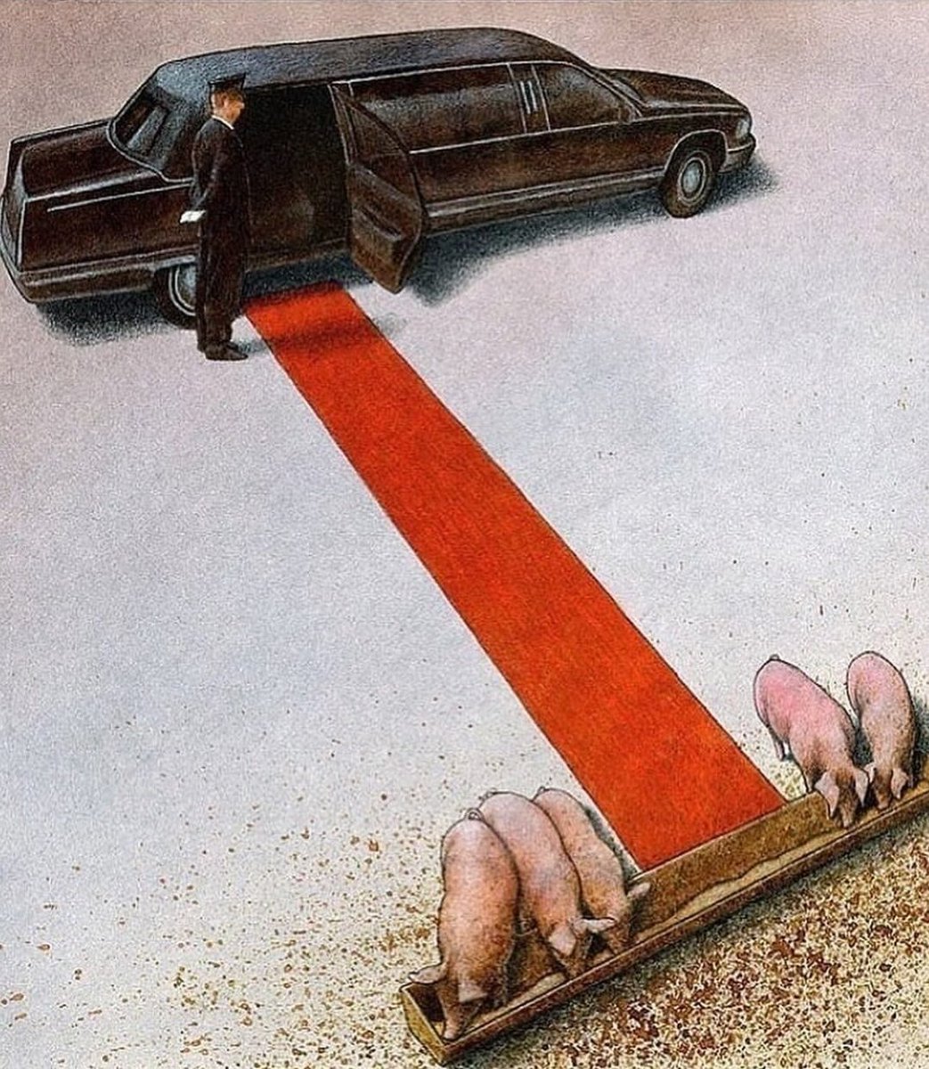 ¿En qué piensa usted al ver esta imagen?