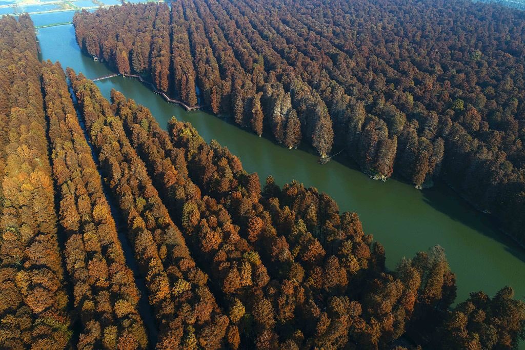 AmbCina's tweet image. Oggi festeggiamo la #natura! 🌳🌺

In occasione del 📆National #TreePlantingDay, scopriamo le maestose foreste della Cina.
🌍🍃 Questi paesaggi infondono vita al nostro pianeta, offrendo rifugio ad innumerevoli varietà di flora e fauna.🌿