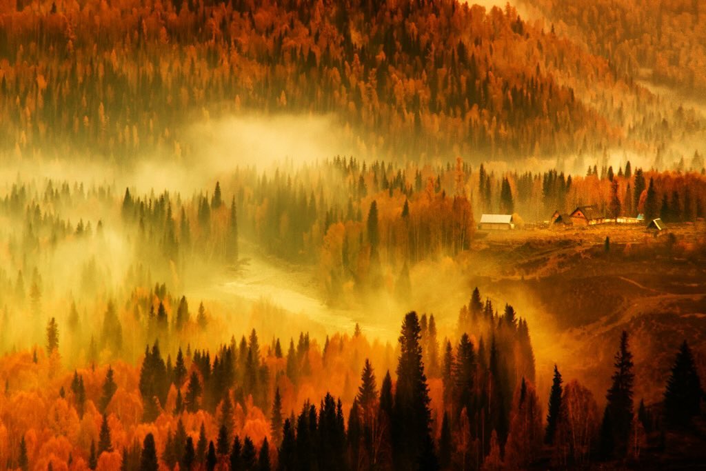 AmbCina's tweet image. Oggi festeggiamo la #natura! 🌳🌺

In occasione del 📆National #TreePlantingDay, scopriamo le maestose foreste della Cina.
🌍🍃 Questi paesaggi infondono vita al nostro pianeta, offrendo rifugio ad innumerevoli varietà di flora e fauna.🌿