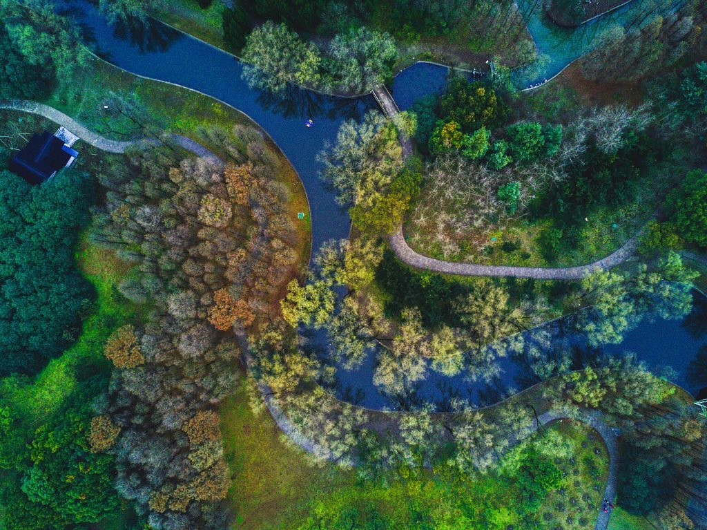 AmbCina's tweet image. Oggi festeggiamo la #natura! 🌳🌺

In occasione del 📆National #TreePlantingDay, scopriamo le maestose foreste della Cina.
🌍🍃 Questi paesaggi infondono vita al nostro pianeta, offrendo rifugio ad innumerevoli varietà di flora e fauna.🌿