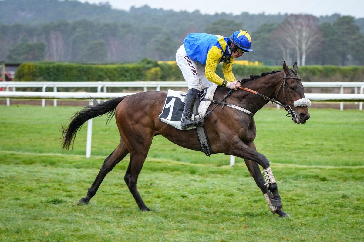 Jour de Galop tweet media