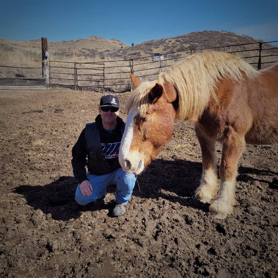 csteele3178's tweet photo. I had the great opportunity to spend some time with the CHAPS team here in Wyoming. A great organization that helps people with different disabilities as well as our Veterans, through horse therapy. 
https://t.co/S9CFFSfaS3
Check them out! https://t.co/Tc1yuvyjr5