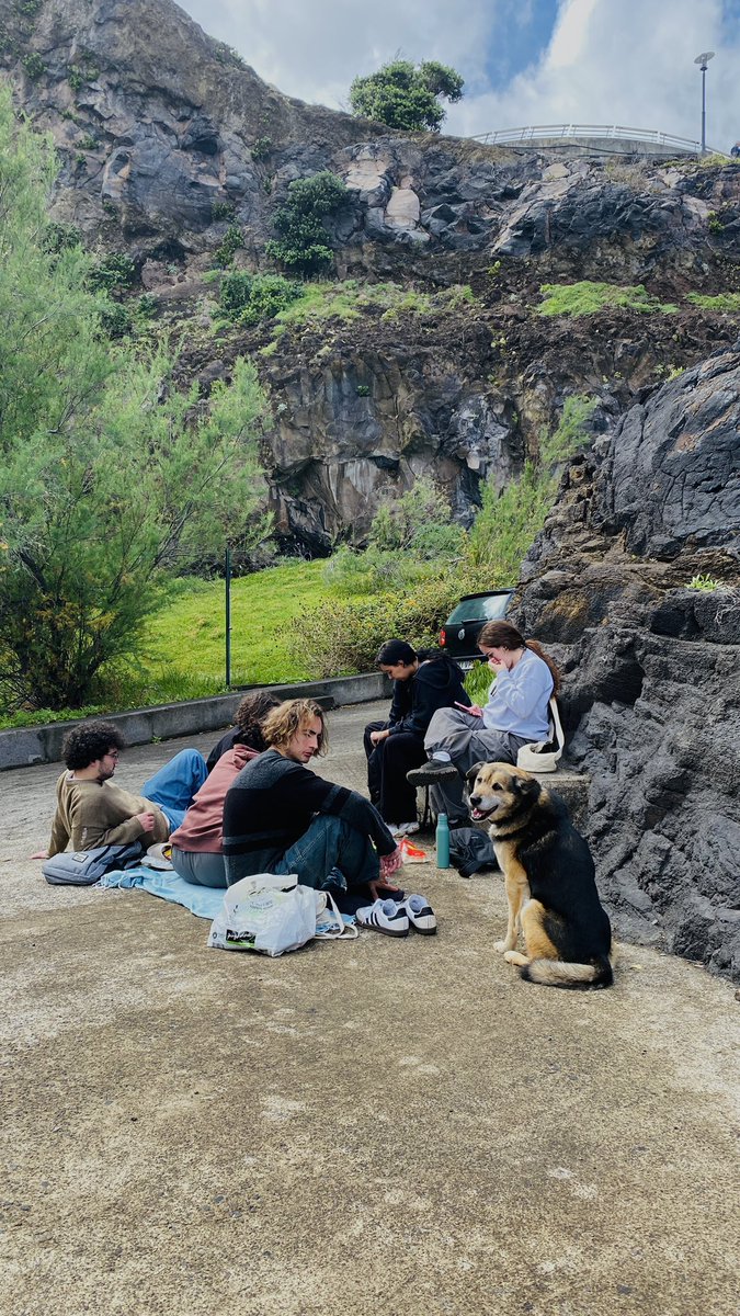 clararevueltas's tweet photo. madeira💚 https://t.co/niFYwlDSh5
