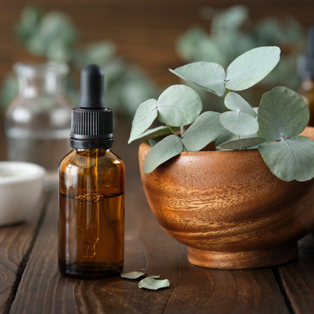 justevasaidt's tweet photo. ¿Sabías que el aceite esencial de eucalipto tiene una amplia gama de beneficios? ¡Exploremos el poder de este increíble aceite en este hilo! 🌿💧 https://t.co/gTGP17qxtA
