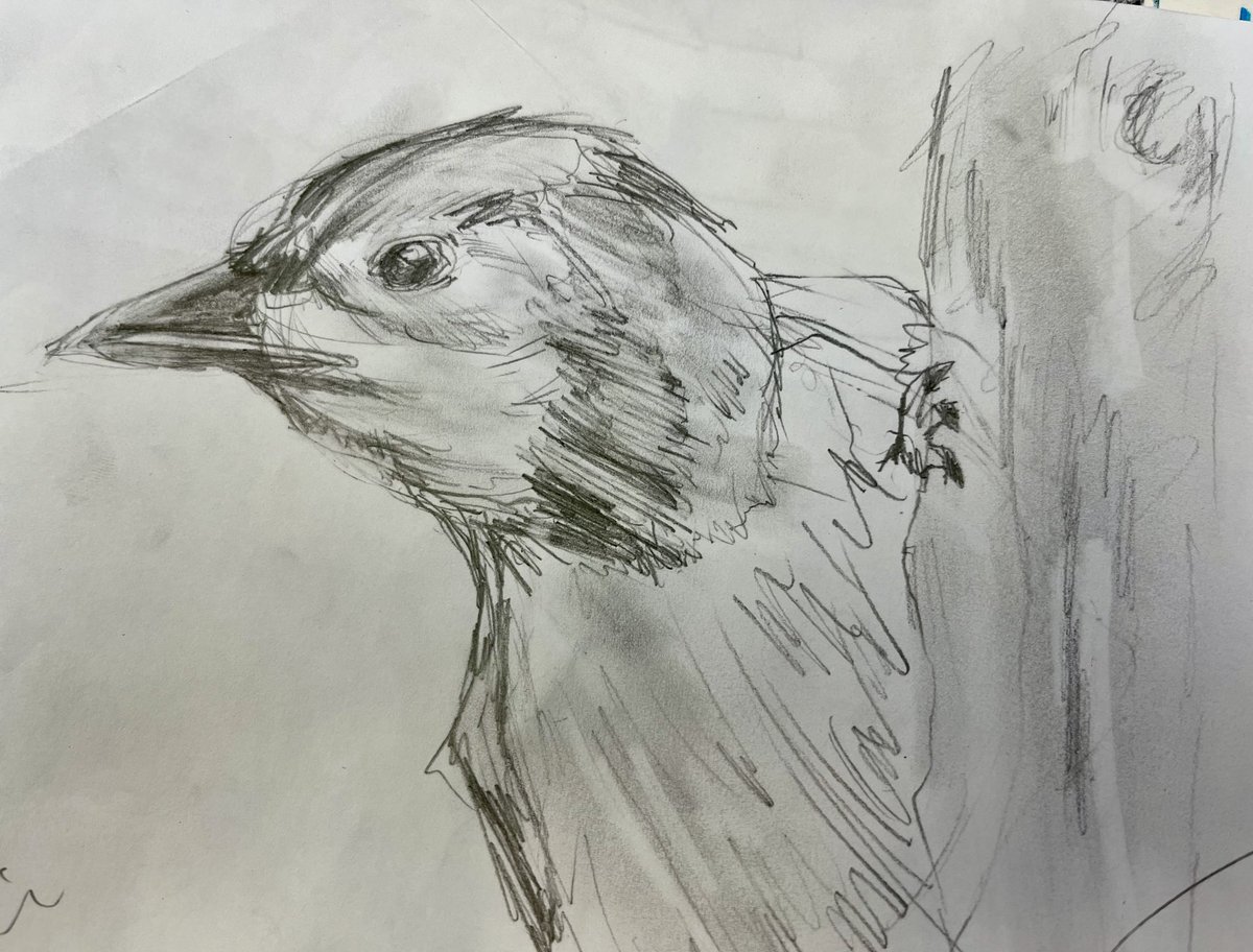 AnneKDeaver's tweet photo. Last quarter 6th Grade pre-test.   💙Blue Jays #dmsleads ⁦@LPSFineArts⁩ https://t.co/EOgg0oRh9R