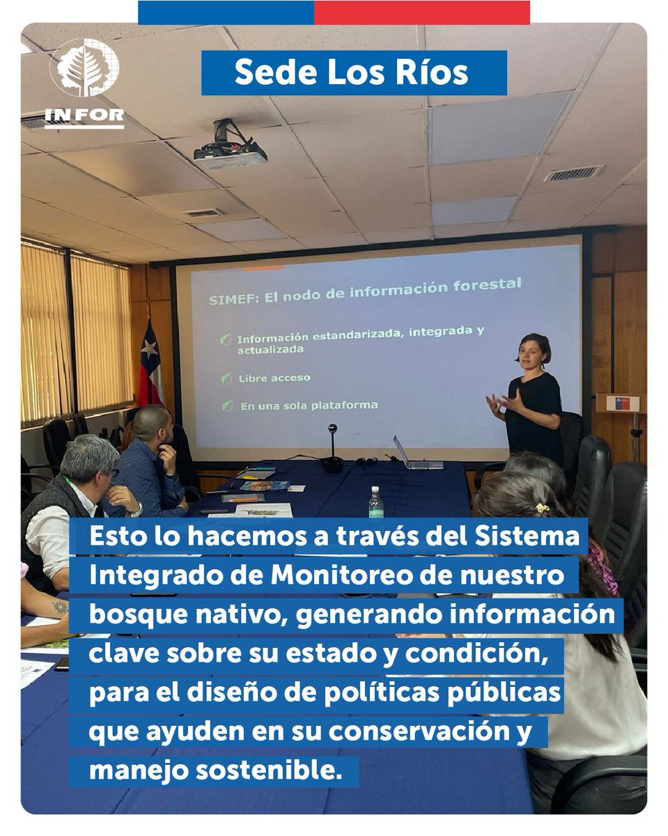 📣A través del Programa #SIMEF hemos fortalecido un sistema integrado de monitoreo de nuestro bosque nativo, permanente en el tiempo, que genera información clave sobre su estado y condición, para el diseño de políticas públicas que ayuden a su conservación y manejo sostenible.🌿