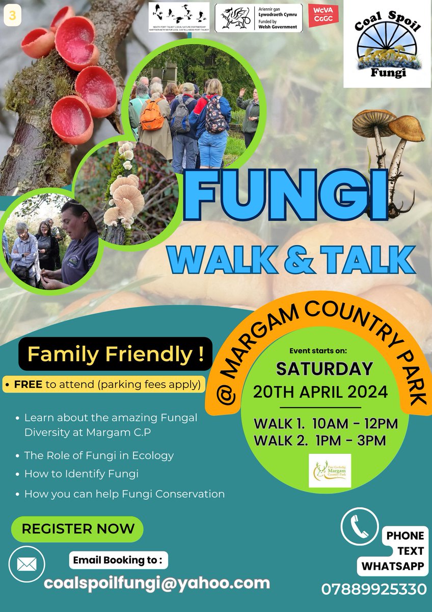 Family Friendly Fungi Walk at Margam Castle 20th April 2024. Two walks available for booking . Look forward to meeting some new Fungal Enthusiasts 😁