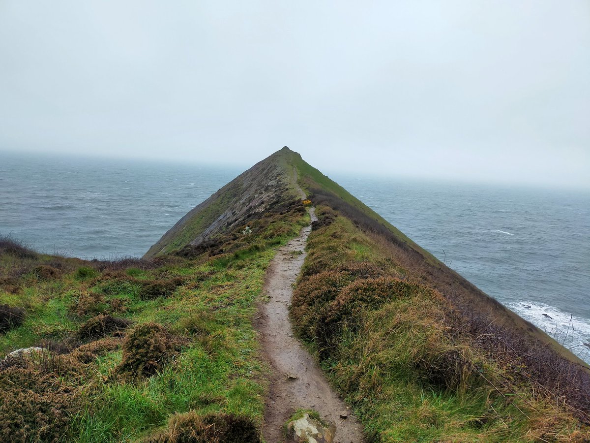 JanTrathen's tweet photo. Morning stroll #Highersharpnosepoint
#Morwenstow #Kernow
#LoveCornwall #Wellbeing https://t.co/ScZGhmqmrx