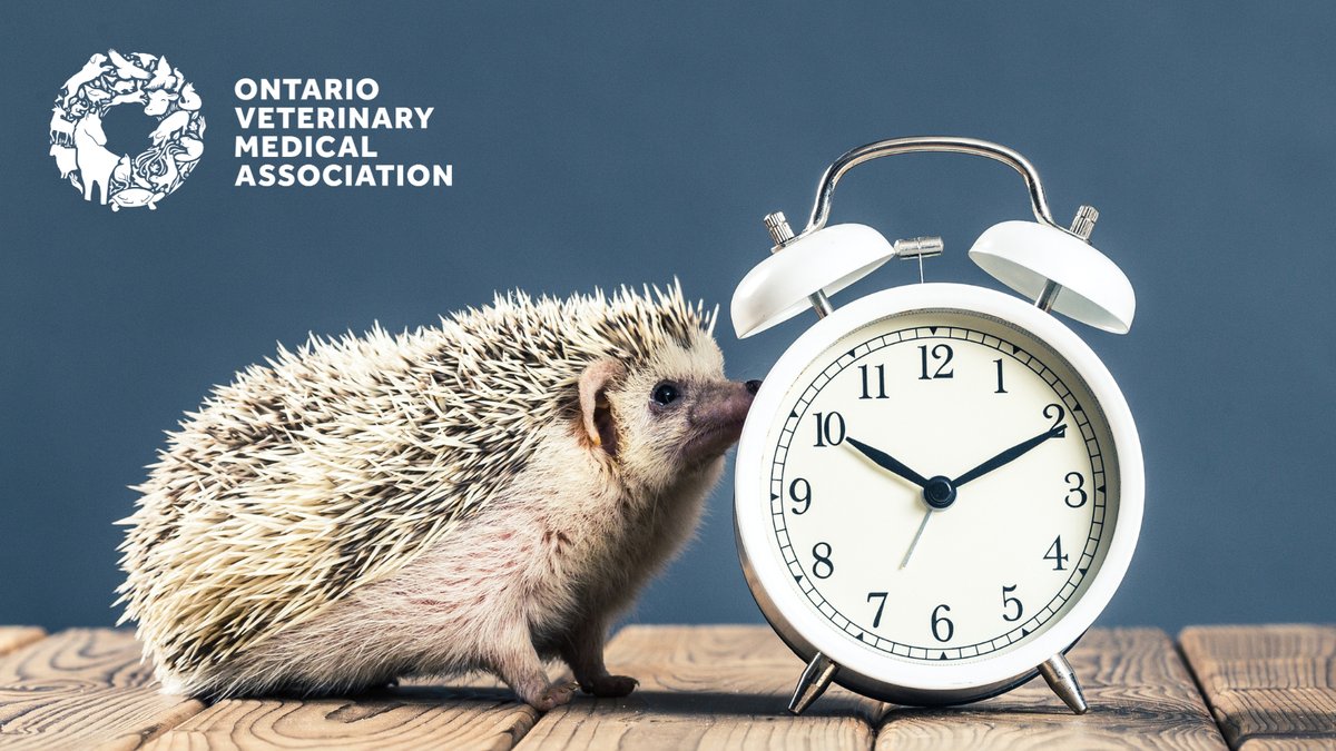 In addition to changing your clocks and switching the batteries in your smoke detectors, #DaylightSavings can also be a great reminder to book your pet's annual exam. If you haven't already, call your veterinarian to schedule your pet's checkup.