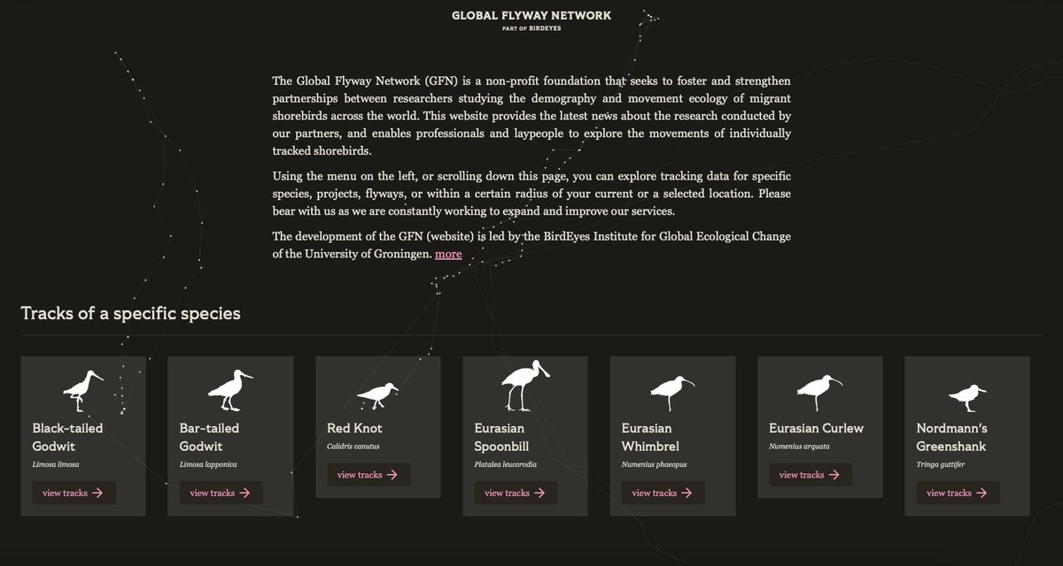 Exciting times to look at the @GlobalFlyway website, where you can join migratory birds on their epic flights like a virtual Nils Holgersson. Following the journeys of our feathered protagonists, you'll quickly find yourself cheering them on as they go. globalflywaynetwork.org