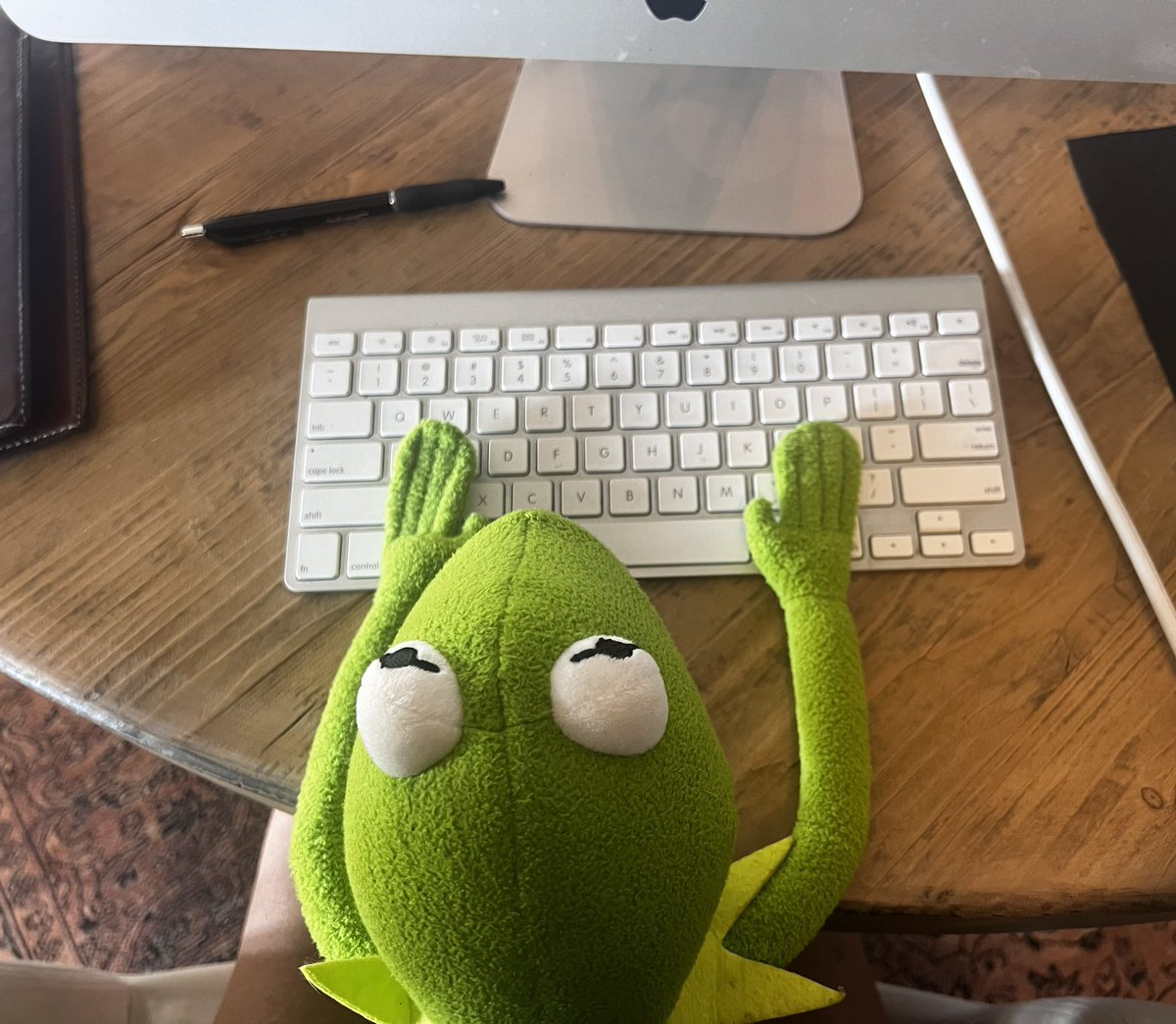 #rundisney From 10 minutes to 45! Not looking good Kermie #wineanddinehalfmarathon #wineanddine5k