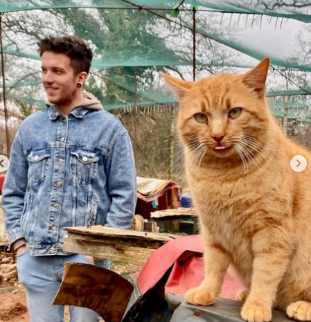 ElxGatox's tweet photo. El representante de Croacia baby Lasagna tiene algo tiene esa chispa de ganador que sabes que va a ganar y encima le gustan los gatos, pues que se case conmigo opino #Eurovision https://t.co/Gun37xADPy