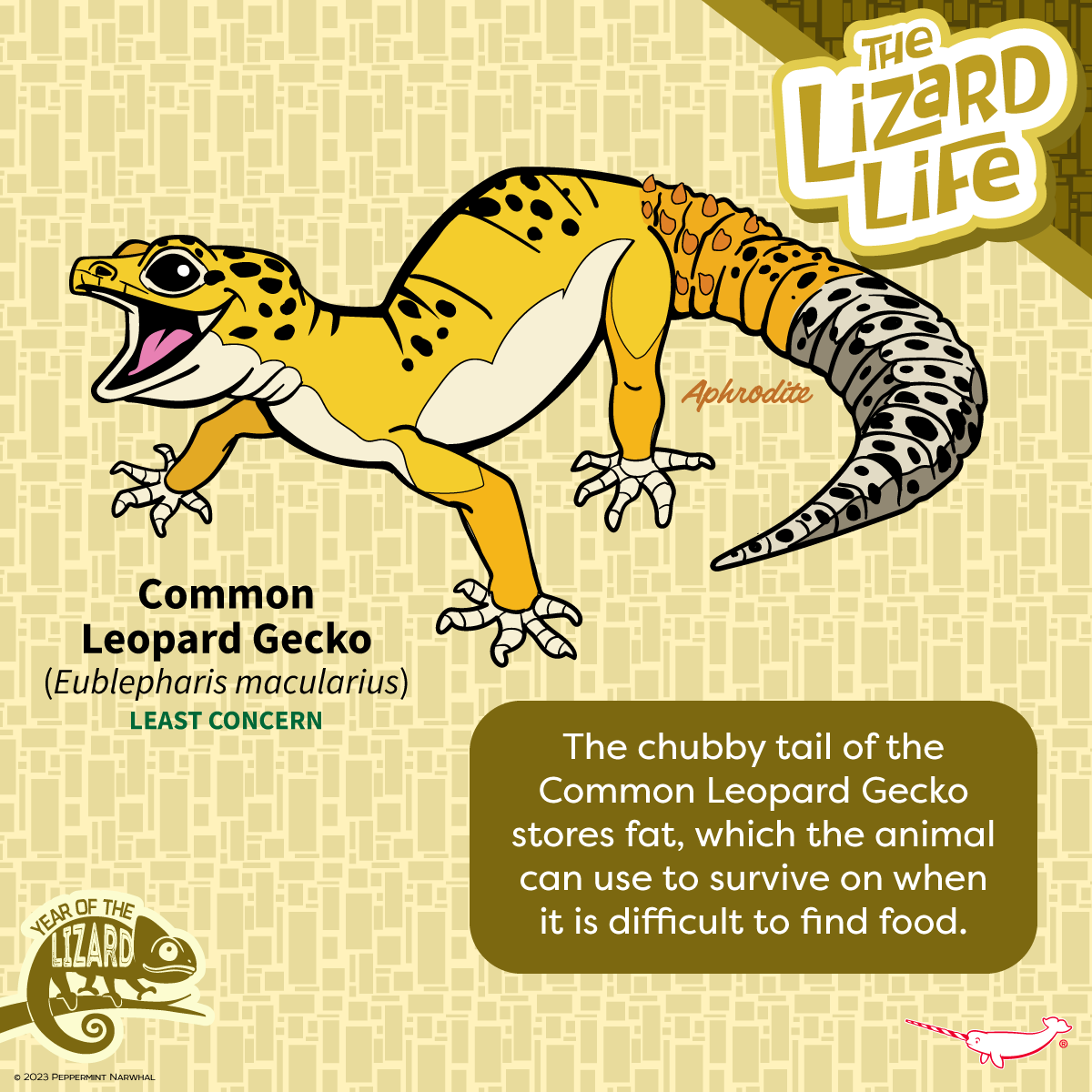 PepomintNarwhal's tweet photo. #TheLizardLife #CommonLeopardGecko
#YearOfTheLizard

Shop #PeppermintNarwhal: https://t.co/bQXxNGbEjD

#LizardLife  #LeopardGecko #Lizard #Gecko #YOTL https://t.co/3SIxcQ2Rw2