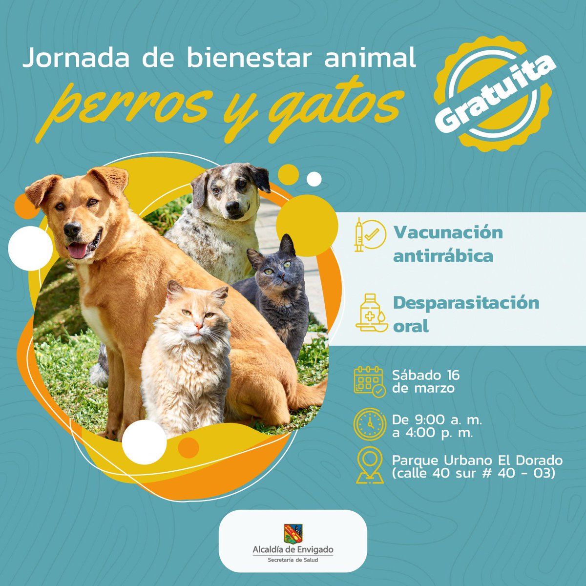 Este sábado 16 de marzo se realizará la primera Jornada de Bienestar Animal. 

En esta oportunidad se ofrecerá el servicio de vacunación antirrábica y desparasitación oral para perros y gatos. 😺🐶♥️

➕ información ⬇️
envigado.gov.co/secretaria-de-…

#EnvigadoVamosAdelante