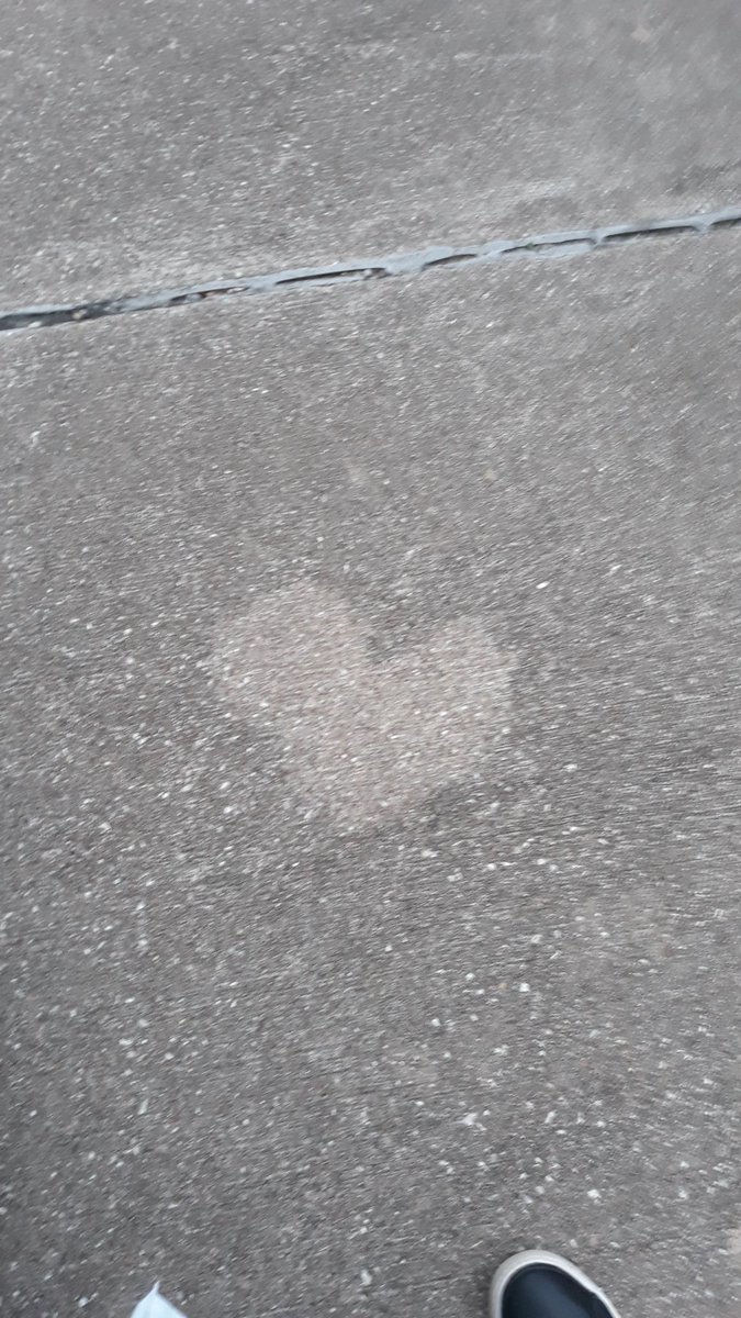 CYNinHOUSTONEd tweet media