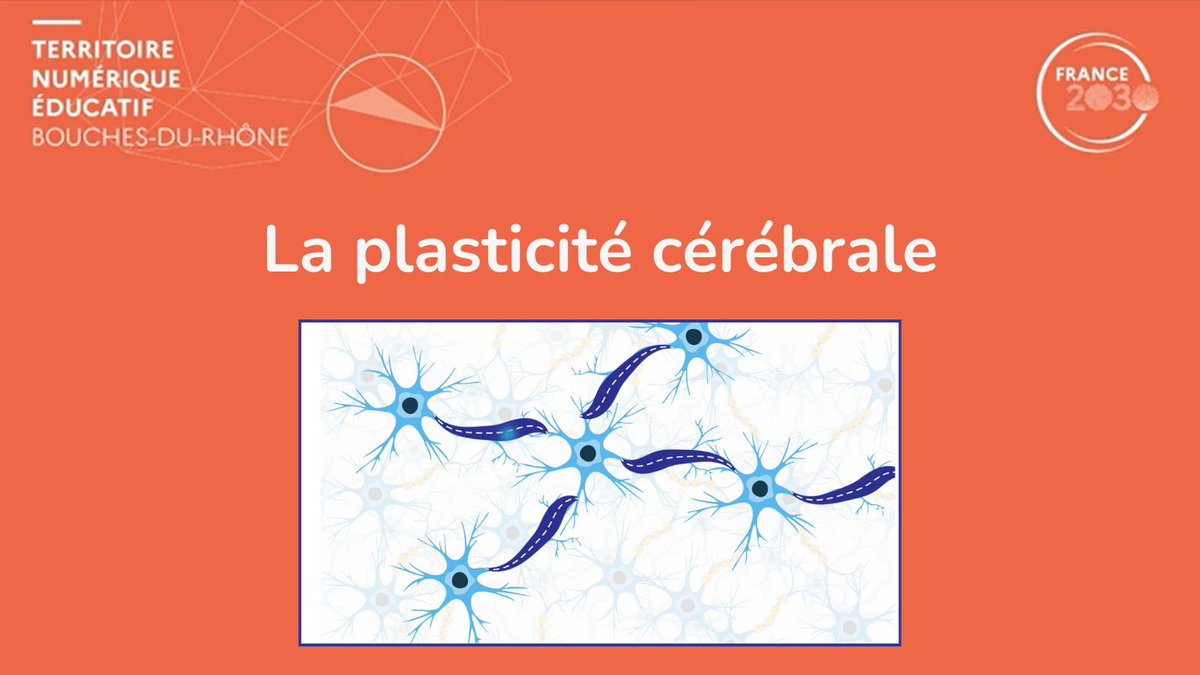 DRANE Provence-Alpes-Côte d'Azur (@dranepaca) on Twitter photo Pour la 🧠semaine du cerveau, parlons de la 𝗽𝗹𝗮𝘀𝘁𝗶𝗰𝗶𝘁𝗲́ 𝗰𝗲́𝗿𝗲́𝗯𝗿𝗮𝗹𝗲 avec nos élèves !
📽️Un clip court , ludique @dranepaca et #tne #france2030, collaboration <a href="/Christophe_Rodo/">Christophe Rodo</a> et <a href="/BerthierBonfig2/">Berthier-Bonfigli</a>
vu.fr/YERiT
#metacognition
#sciencescognitives Pour la 🧠semaine du cerveau, parlons de la 𝗽𝗹𝗮𝘀𝘁𝗶𝗰𝗶𝘁𝗲́ 𝗰𝗲́𝗿𝗲́𝗯𝗿𝗮𝗹𝗲 avec nos élèves !
📽️Un clip court , ludique @dranepaca et #tne #france2030, collaboration <a href="/Christophe_Rodo/">Christophe Rodo</a> et <a href="/BerthierBonfig2/">Berthier-Bonfigli</a>
vu.fr/YERiT
#metacognition
#sciencescognitives