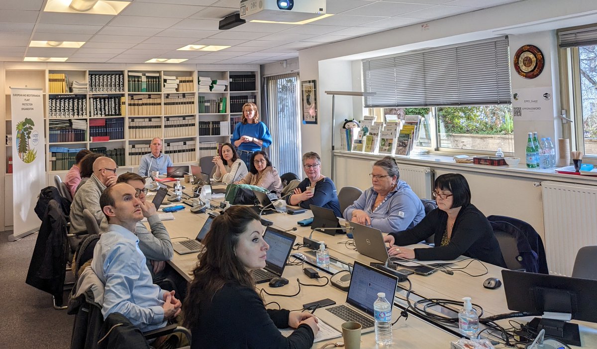 EPPO Efficacy tweet media