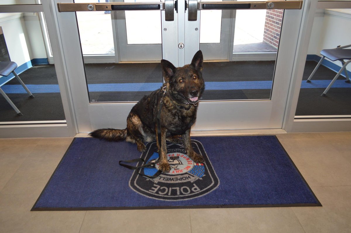 We would like to thank the HHS class of the 1960’s for their generous donation, providing #K9 Rigo with a ballistic vest! #hopewellva #community #policek9 #HPD