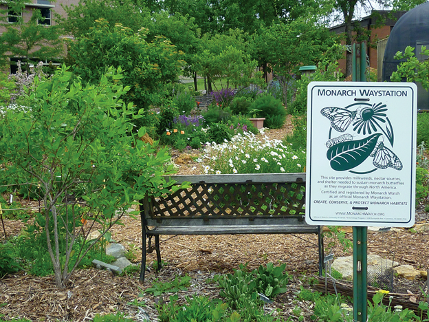 PaN_BES's tweet photo. Aiders of the Lost Monarch, Got Milkweed?, &amp; Beauty and the Bees are examples of the creative names people have given their Monarch Waystations over the years; positivity, mortality, and family are commonly used themes. @emilygeest @UnivOfKansas 
👑🦋🪑
https://t.co/W1yQHw6Q9p https://t.co/TqxGVRbdCp