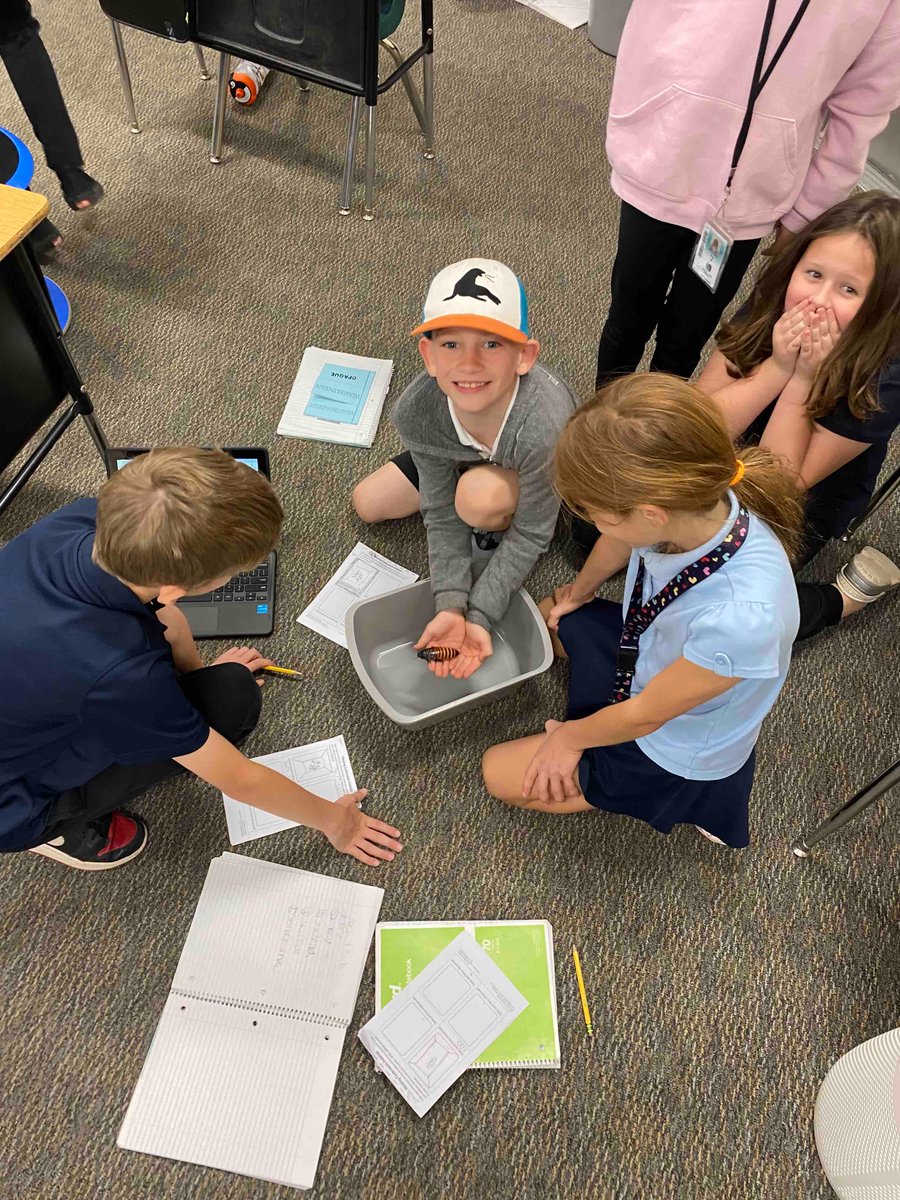 CopperRidgeSUSD's tweet photo. Mrs. Green’s 3rd grade class was pretty excited about their Madagascar Hissing Cockroach investigations. 😀🪳 https://t.co/cXQmgqAxjM