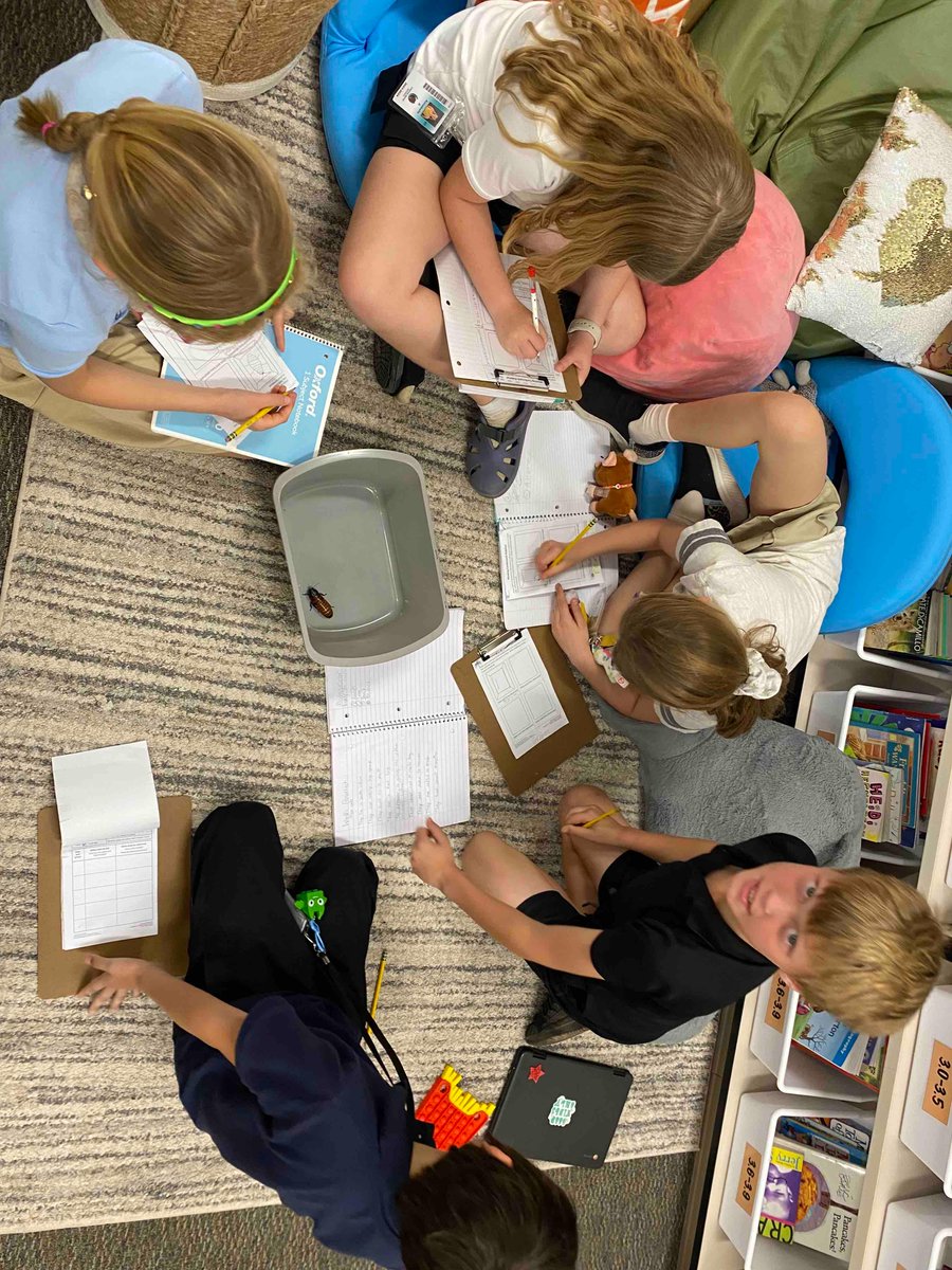 Mrs. Green’s 3rd grade class was pretty excited about their Madagascar Hissing Cockroach investigations. 😀🪳
