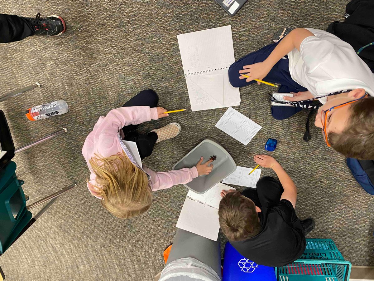 CopperRidgeSUSD's tweet photo. Mrs. Green’s 3rd grade class was pretty excited about their Madagascar Hissing Cockroach investigations. 😀🪳 https://t.co/cXQmgqAxjM